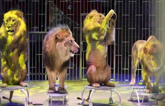 &Pcy;&rcy;&icy;&ncy;&tscy; &tscy;&icy;&rcy;&kcy;&acy;