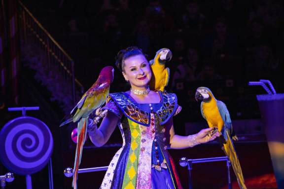 Маска. Приключения ёлочных игрушек