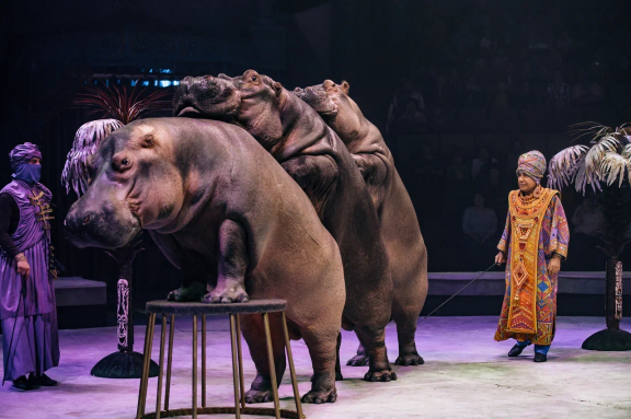 &Pcy;&iecy;&scy;&chcy;&acy;&ncy;&acy;&yacy; &scy;&kcy;&acy;&zcy;&kcy;&acy;